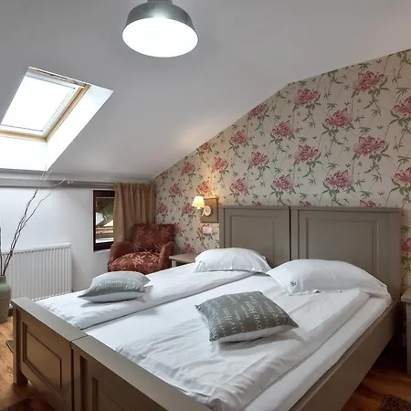 Casa Muntelui Affittacamere 4*